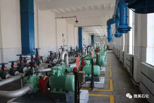 家有 三宝,发展无忧