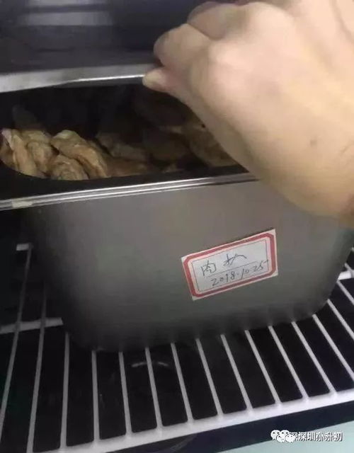 当高端教育遭遇安全隐忧 从深圳民办学校事件看孩子的健康如何把关